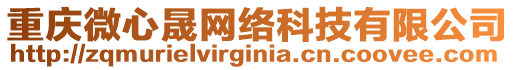 重慶微心晟網(wǎng)絡(luò)科技有限公司