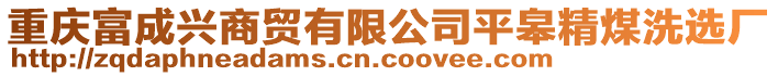 重慶富成興商貿(mào)有限公司平皋精煤洗選廠