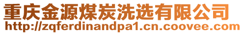 重慶金源煤炭洗選有限公司