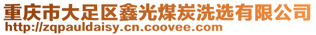 重慶市大足區鑫光煤炭洗選有限公司