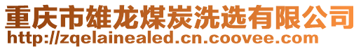 重慶市雄龍煤炭洗選有限公司