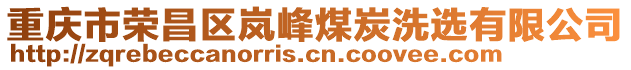 重慶市榮昌區(qū)嵐峰煤炭洗選有限公司