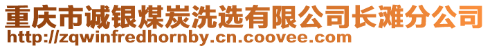 重慶市誠銀煤炭洗選有限公司長灘分公司