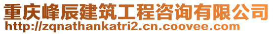 重慶峰辰建筑工程咨詢有限公司