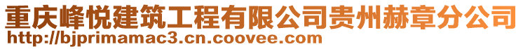 重慶峰悅建筑工程有限公司貴州赫章分公司