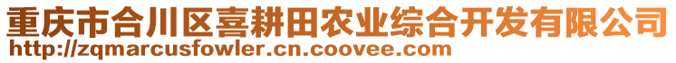 重慶市合川區(qū)喜耕田農(nóng)業(yè)綜合開發(fā)有限公司