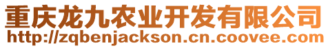 重慶龍九農(nóng)業(yè)開發(fā)有限公司