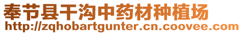 奉節(jié)縣干溝中藥材種植場