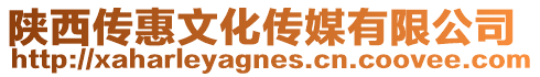陜西傳惠文化傳媒有限公司