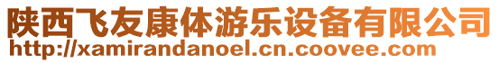 陜西飛友康體游樂設(shè)備有限公司