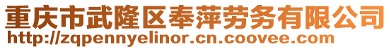 重慶市武隆區(qū)奉萍勞務(wù)有限公司