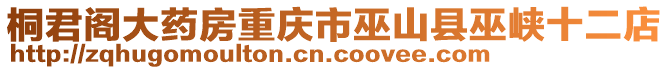 桐君閣大藥房重慶市巫山縣巫峽十二店