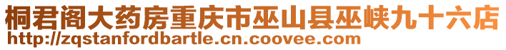 桐君阁大药房重庆市巫山县巫峡九十六店