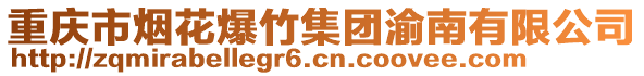 重慶市煙花爆竹集團渝南有限公司