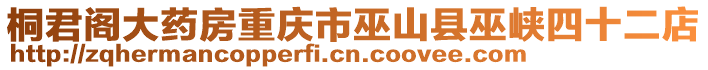 桐君閣大藥房重慶市巫山縣巫峽四十二店