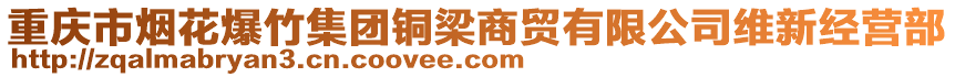 重慶市煙花爆竹集團(tuán)銅梁商貿(mào)有限公司維新經(jīng)營部