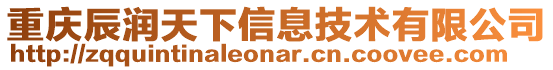 重慶辰潤天下信息技術有限公司