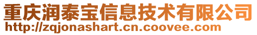 重慶潤泰寶信息技術(shù)有限公司