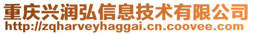 重慶興潤弘信息技術(shù)有限公司