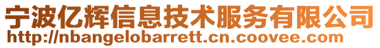 寧波億輝信息技術服務有限公司