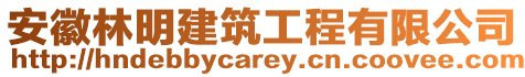 安徽林明建筑工程有限公司