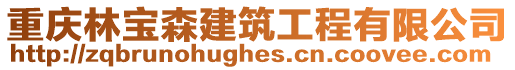 重慶林寶森建筑工程有限公司