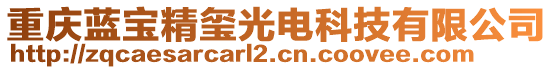 重慶藍(lán)寶精璽光電科技有限公司