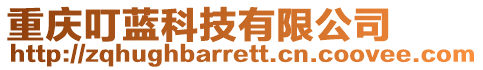 重慶叮藍科技有限公司