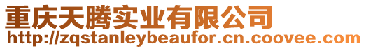 重慶天騰實業有限公司