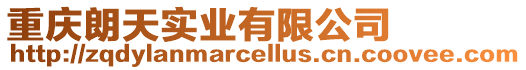 重慶朗天實業有限公司