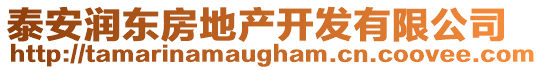 泰安潤(rùn)東房地產(chǎn)開發(fā)有限公司