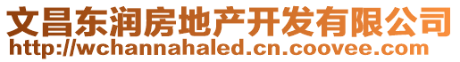 文昌東潤房地產開發有限公司