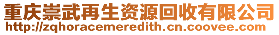 重慶崇武再生資源回收有限公司