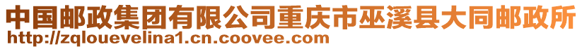 中國(guó)郵政集團(tuán)有限公司重慶市巫溪縣大同郵政所