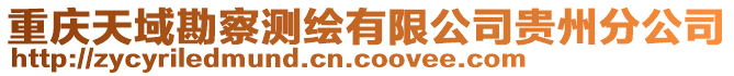 重慶天域勘察測(cè)繪有限公司貴州分公司