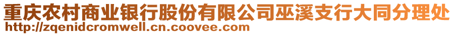 重慶農(nóng)村商業(yè)銀行股份有限公司巫溪支行大同分理處