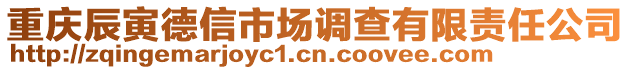 重慶辰寅德信市場調(diào)查有限責(zé)任公司