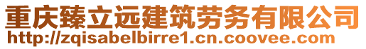 重慶臻立遠建筑勞務有限公司