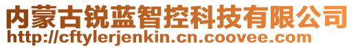 內(nèi)蒙古銳藍智控科技有限公司