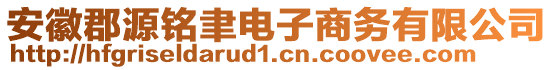 安徽郡源銘聿電子商務(wù)有限公司