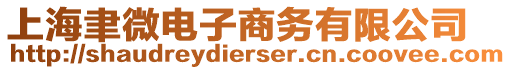 上海聿微電子商務有限公司