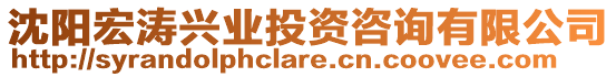 沈陽宏濤興業(yè)投資咨詢有限公司