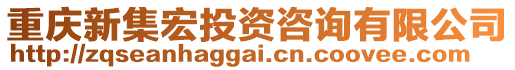 重慶新集宏投資咨詢有限公司