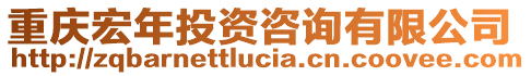 重慶宏年投資咨詢有限公司