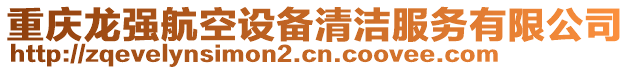 重慶龍強(qiáng)航空設(shè)備清潔服務(wù)有限公司