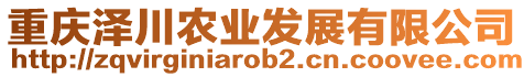 重慶澤川農(nóng)業(yè)發(fā)展有限公司