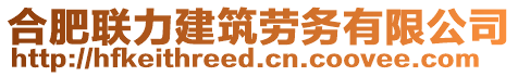 合肥聯(lián)力建筑勞務(wù)有限公司