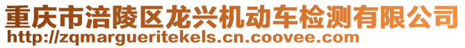 重慶市涪陵區(qū)龍興機動車檢測有限公司