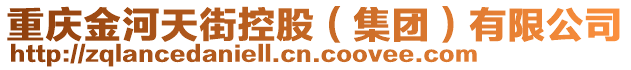 重慶金河天街控股（集團(tuán)）有限公司