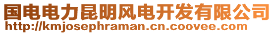 國(guó)電電力昆明風(fēng)電開發(fā)有限公司